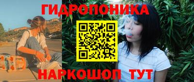 гидра Тара