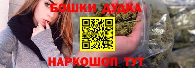 гидра Тара