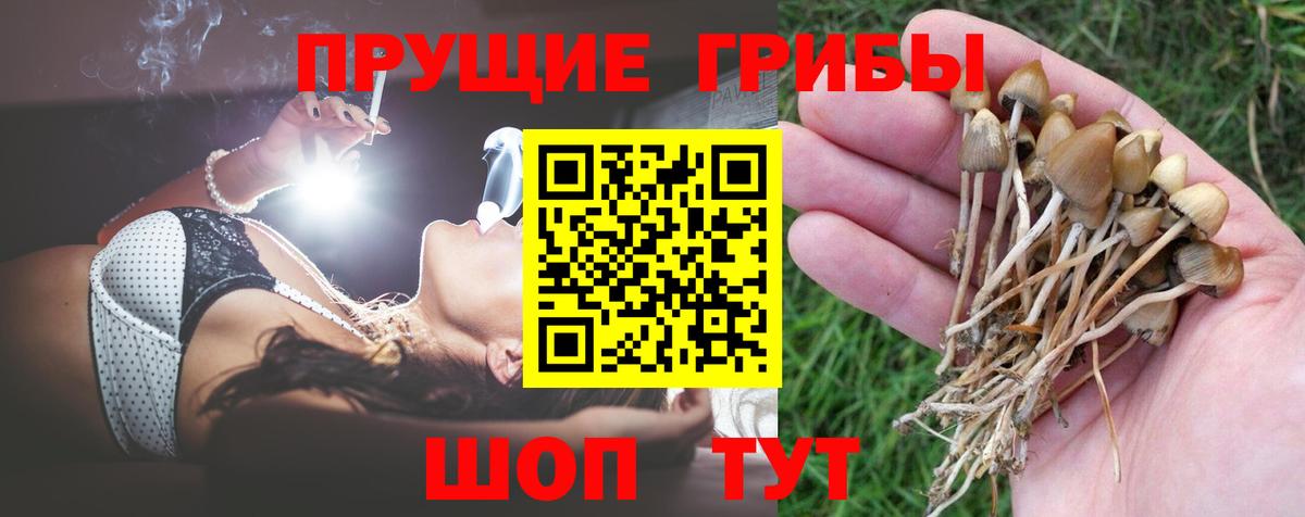 Галлюциногенные грибы мухоморы  Вход с VPN  Галлюциногенные грибы Psilocybine cubensis  Миасс 